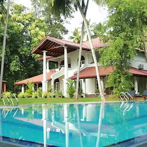 The Bed & Breakfast